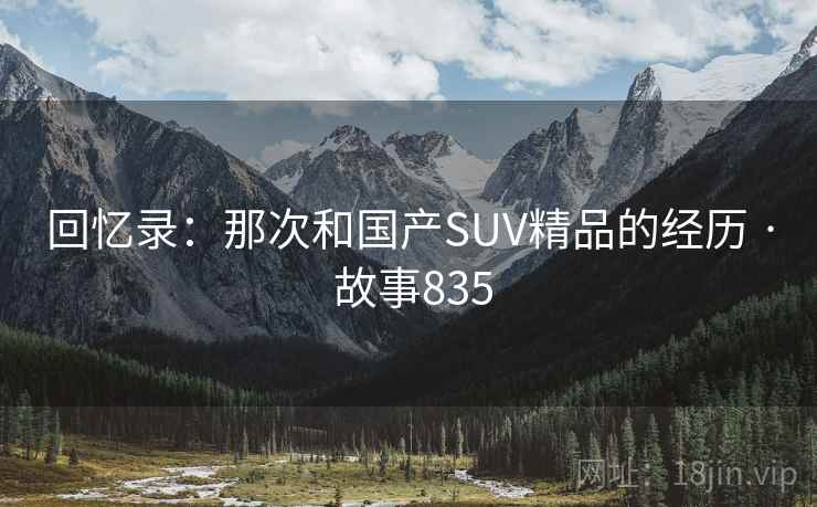 回忆录：那次和国产SUV精品的经历 · 故事835